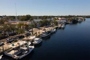 723 Pent St, Tarpon Springs, FL 34689 - Photo 41