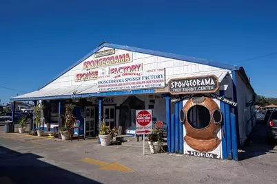 723 Pent Street, Tarpon Springs, FL 34689 - Photo 49