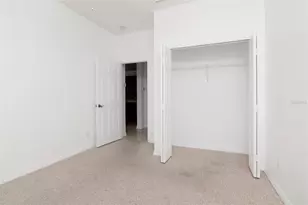 125 Shell Falls Dr, Apollo Beach, FL 33572 - Photo 31