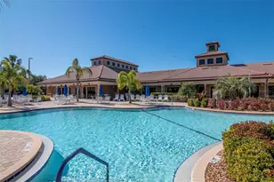 125 Shell Falls Dr, Apollo Beach, FL 33572 - Photo 39