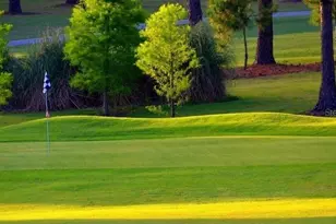 2149 Malcolm Dr, Palm Harbor, FL 34684 - Photo 33