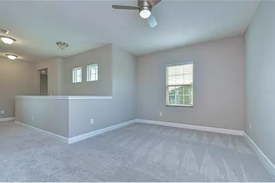 10455 Flagstaff Falls Avenue, Riverview, FL 33578 - Photo 21