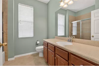 19902 Dolores Ann Court, Lutz, FL 33549 - Photo 43