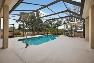 19902 Dolores Ann Ct, Lutz, FL 33549 - Photo 51