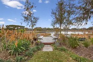 19902 Dolores Ann Ct, Lutz, FL 33549 - Photo 55