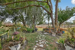 19902 Dolores Ann Ct, Lutz, FL 33549 - Photo 69