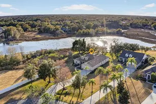 19902 Dolores Ann Ct, Lutz, FL 33549 - Photo 65