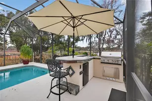 19902 Dolores Ann Ct, Lutz, FL 33549 - Photo 53