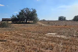 13308 Duck Lake Canal Rd, Dade City, FL 33525 - Photo 45