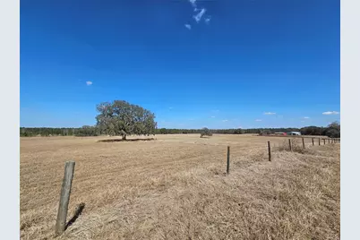 13308 Duck Lake Canal Road, Dade City, FL 33525 - Photo 29