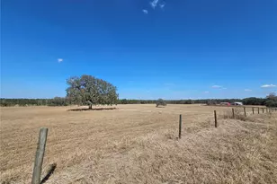 13308 Duck Lake Canal Rd, Dade City, FL 33525 - Photo 29