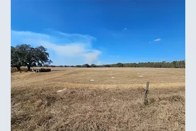 13308 Duck Lake Canal Road, Dade City, FL 33525 - Photo 15