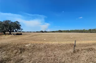 13308 Duck Lake Canal Rd, Dade City, FL 33525 - Photo 15