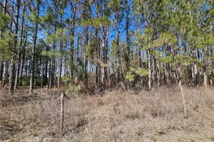 13308 Duck Lake Canal Rd, Dade City, FL 33525 - Photo 13