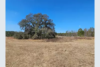 13308 Duck Lake Canal Road, Dade City, FL 33525 - Photo 59