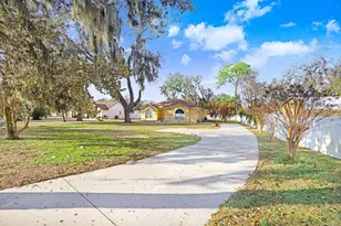 2412 Durant Rd, Valrico, FL 33596 - Photo 25