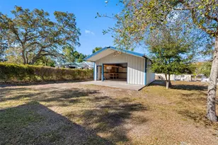 1341 New York Ave, Palm Harbor, FL 34683 - Photo 21