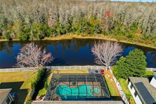 1249 Ketzal Dr, Trinity, FL 34655 - Photo 43