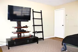 4705 Serena Dr, Tampa, FL 33617 - Photo 19