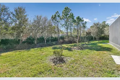 30578 Ceasar Park Drive, Wesley Chapel, FL 33543 - Photo 65
