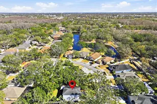 4617 Whispering Park Ln, Tampa, FL 33614 - Photo 59