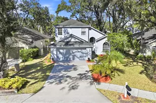 4617 Whispering Park Ln, Tampa, FL 33614 - Photo 9