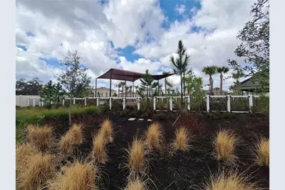 35735 Sunflower Hill Drive, Zephyrhills, FL 33541 - Photo 21