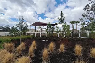 35735 Sunflower Hl Dr, Zephyrhills, FL 33541 - Photo 21