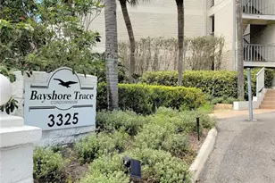 3325 Bayshore Blvd, Tampa, FL 33629 - Photo 3