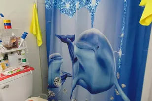 11532 Hammocks Glade Dr, Riverview, FL 33569 - Photo 21