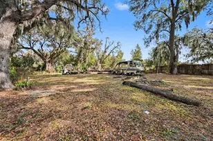 1306 Cason St, Plant City, FL 33563 - Photo 19