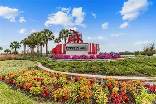 15709 Demory Point Pl, Sun City Center, FL 33573 - Photo 49