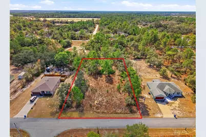 11263 Mexican Canary Avenue, Weeki Wachee, FL 34614 - Photo 1