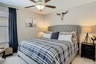 28642 Tranquil Lake Cir, Wesley Chapel, FL 33543 - Photo 49