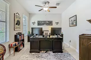 28642 Tranquil Lake Cir, Wesley Chapel, FL 33543 - Photo 13