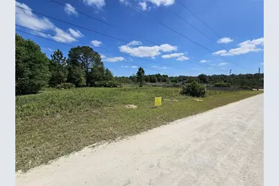 33111 Square Stone Street, Ridge Manor Estates, FL 33597 - Photo 1