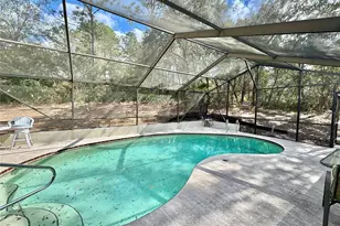 8969 N Lisa Terrace, Citrus Springs, FL 34433 - Photo 3