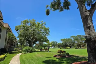 3031 Countryside Blvd, Clearwater, FL 33761 - Photo 43