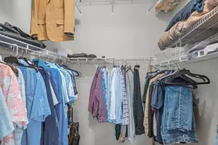 3097 Robinwood Ln, Palm Harbor, FL 34684 - Photo 27