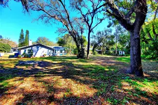 804 Robin Ave, Palm Harbor, FL 34683 - Photo 55