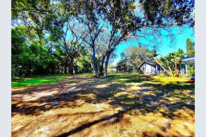 804 Robin Avenue, Palm Harbor, FL 34683 - Photo 53