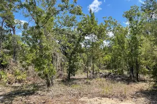 47 Lone Pine St, Homosassa, FL 34446 - Photo 1