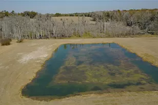 3623 E Whirlwind Path, Floral City, FL 34436 - Photo 49