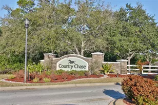 12349 Country White Cir, Tampa, FL 33635 - Photo 23