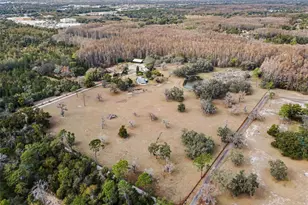 7230 Old Homestead Rd, New Port Richey, FL 34654 - Photo 1