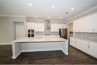 21397 Snowy Orchid Terrace, Land O Lakes, FL 34637 - Photo 19