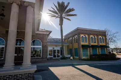 21397 Snowy Orchid Terrace, Land O Lakes, FL 34637 - Photo 57