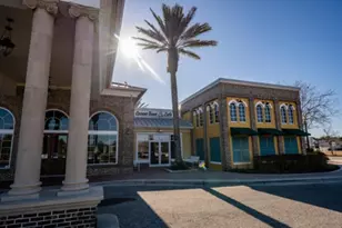 21397 Snowy Orchid Terrace, Land O Lakes, FL 34637 - Photo 57