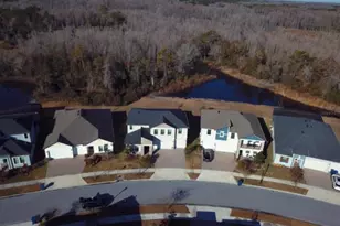 21397 Snowy Orchid Terrace, Land O Lakes, FL 34637 - Photo 5