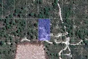 2242 Honey Dew Ave, Sebring, FL 33875 - Photo 1